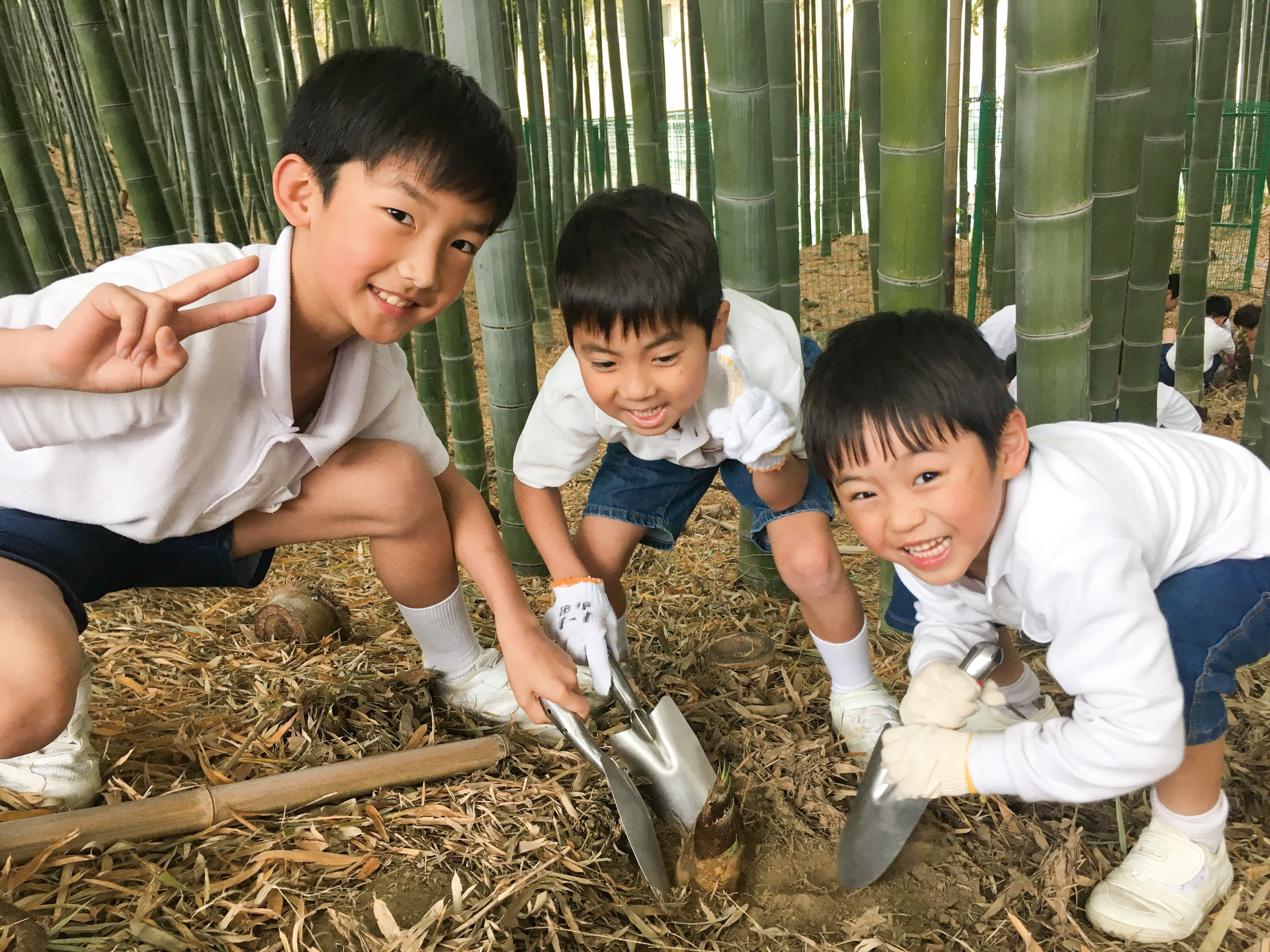 関西創価小学校